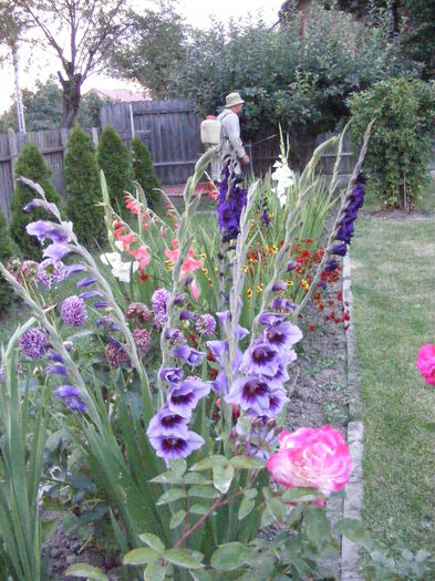 DSCF0847 - Vara 2014-2017