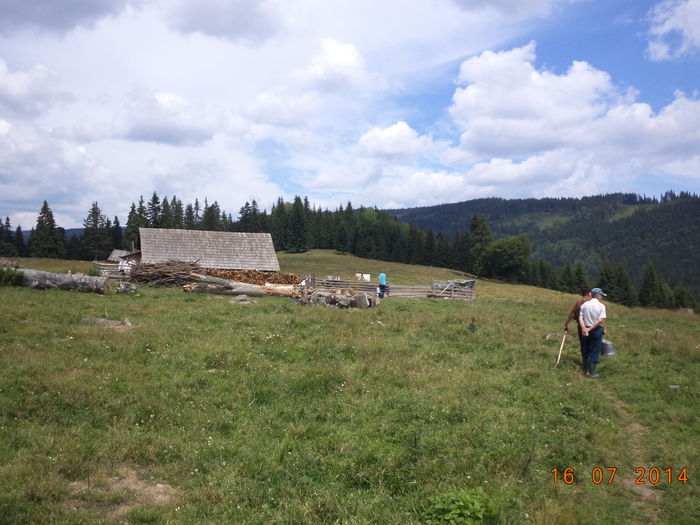 Ducem laptele la stana-2