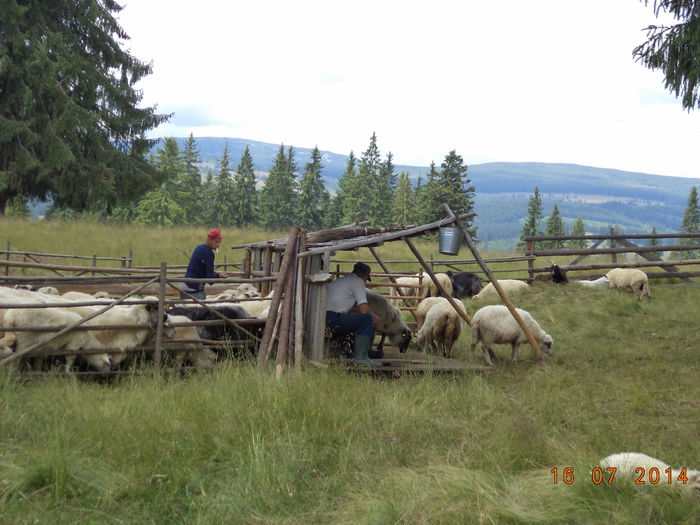 La strunga, dai bataie