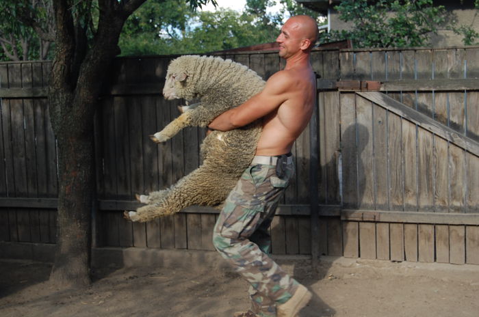 DSC_1522; carlan merinos din 15.11.2013
