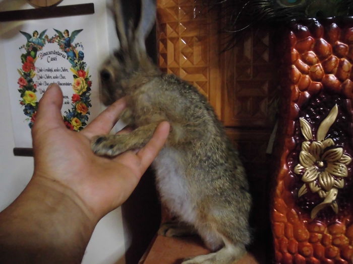 CIMG1402 - poze pentru Marius