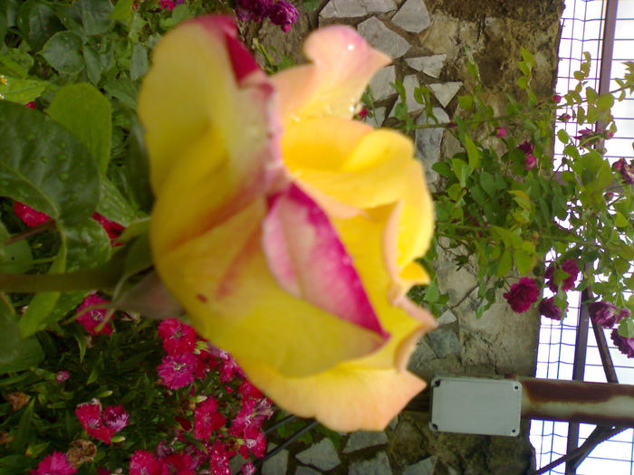 01012006142
