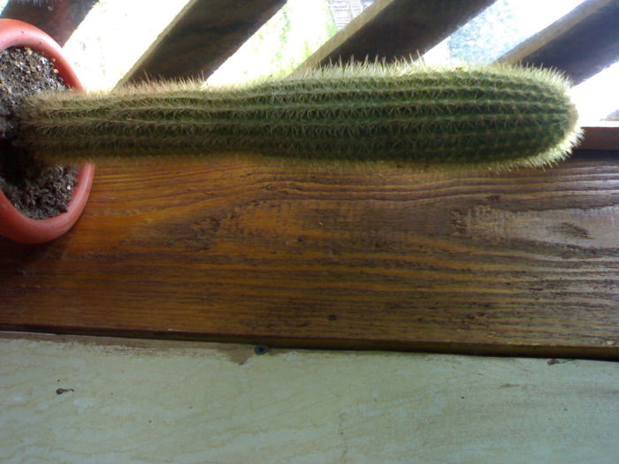 01012006152