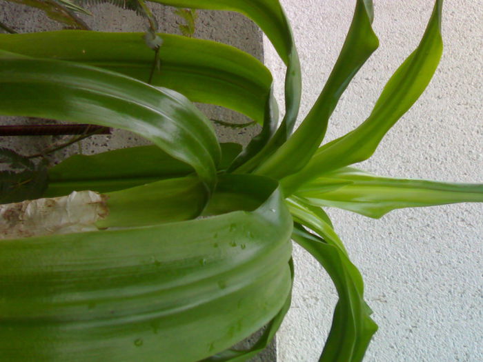 01012006154