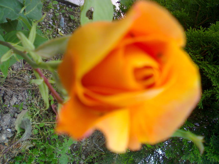 01012006188