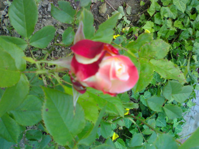 01012006190