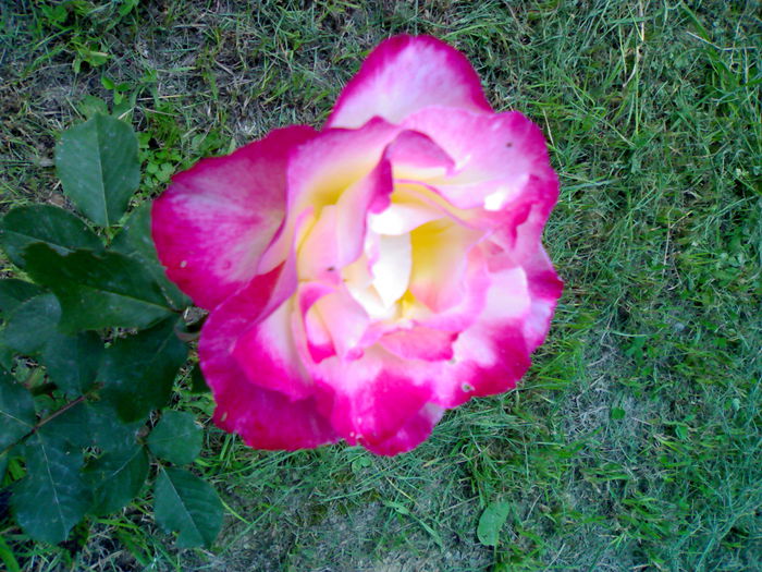 01012006206