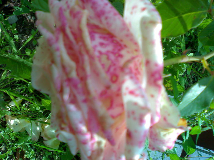 01012006242