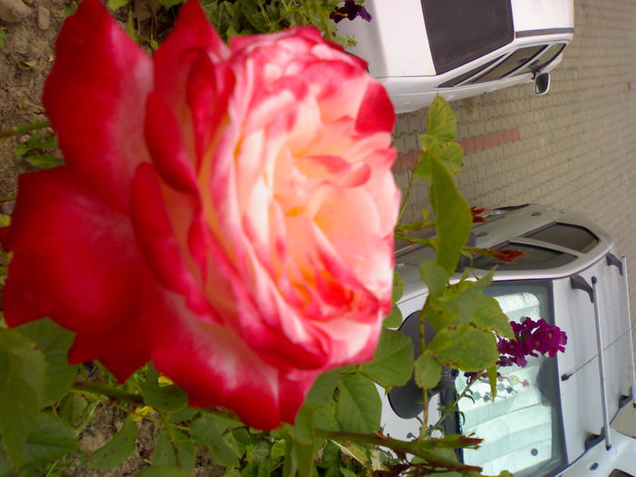 02012006224