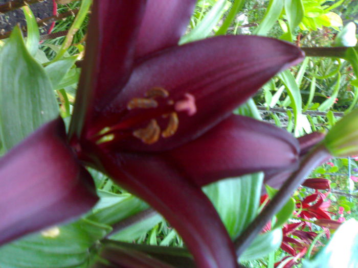 02012006225