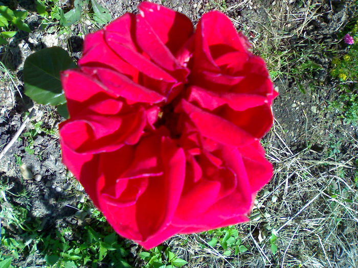 02012006229
