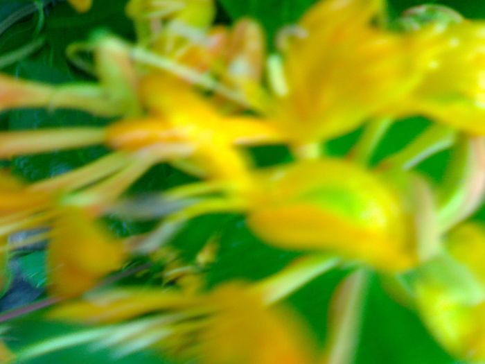 08012006037
