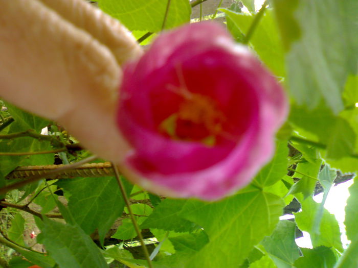 08012006240