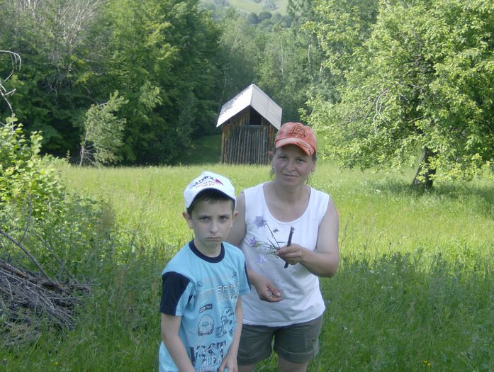 HPIM5529 - floarea nr1