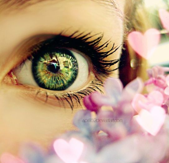 large - beautiful eyes  uuu