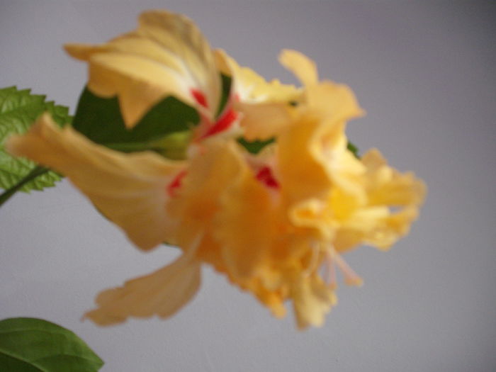 DSCF1340