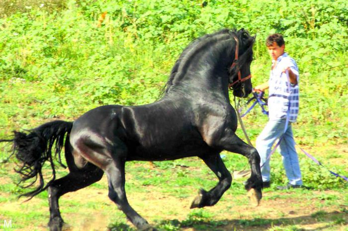 10369915_803789956332092_4812577087086006326_n