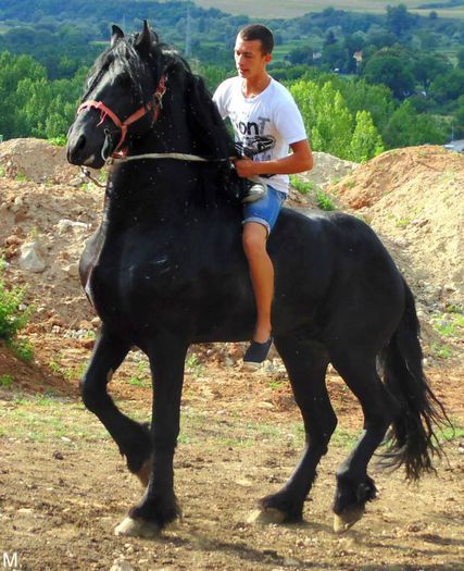 10371521_803790416332046_6285912403060232836_n