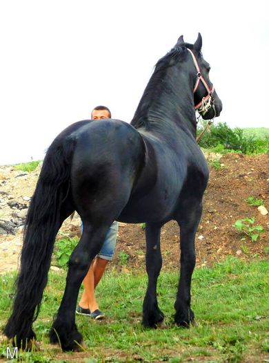 10371578_803789256332162_7583069382369268046_n