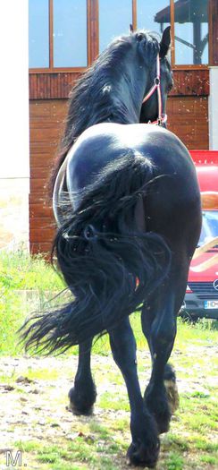 10387672_803789726332115_9200018026060761675_n