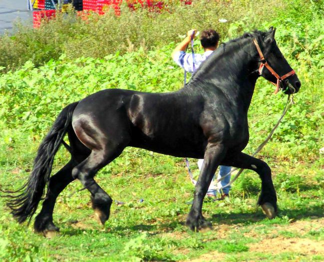 10402595_803790112998743_5790051879059041261_n