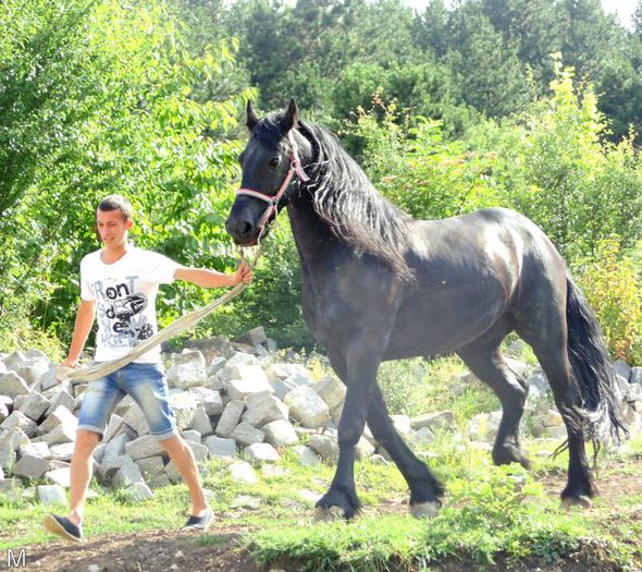 10411306_803789446332143_7493914898864415267_n