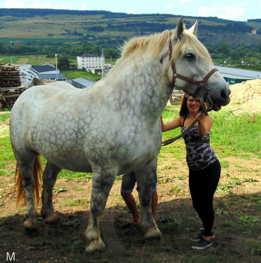 10456426_803788376332250_2908550733897772420_n