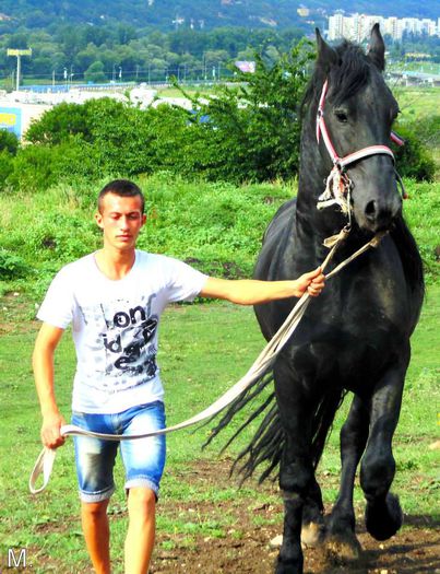 10461380_803789682998786_4518638954643620343_n