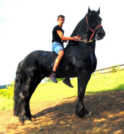 10462903_803791996331888_3792317636152810916_n