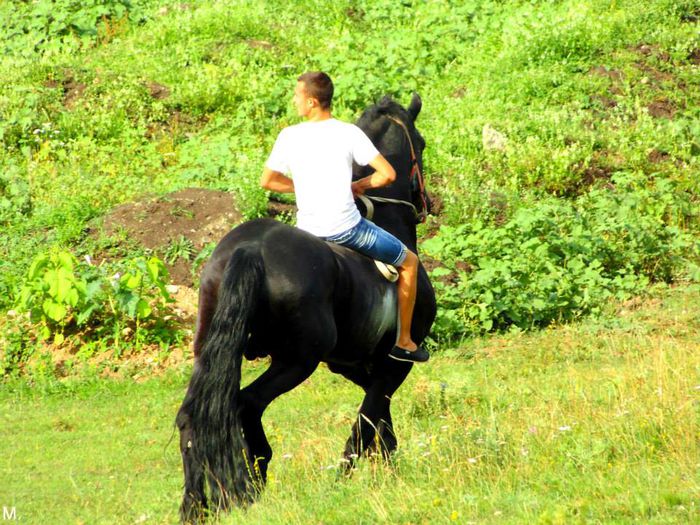 10494862_803790762998678_3952191629331122215_n