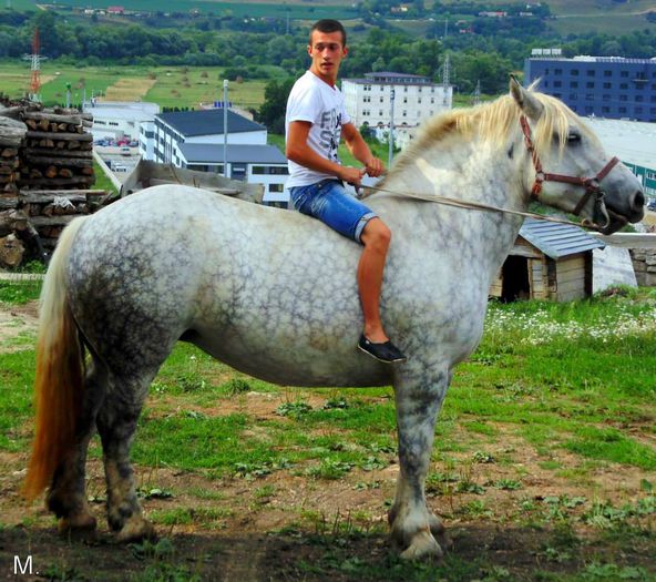 10500281_803788602998894_8089765602341338511_n