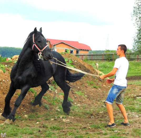 10505371_803789289665492_4605152502041298197_n