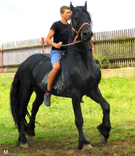 10517568_803791629665258_5426003082145812705_n