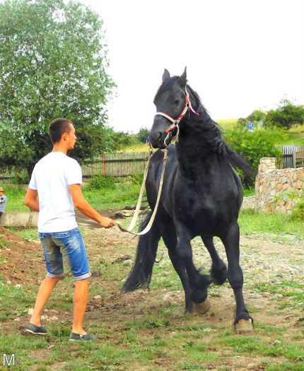 10522559_803789266332161_1934119647170710771_n