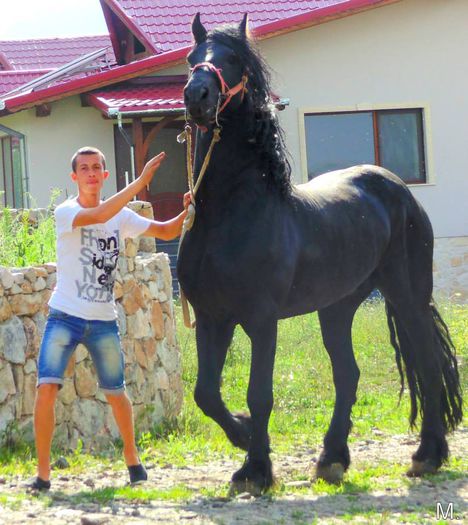 10522659_803789809665440_1264022591578998535_n