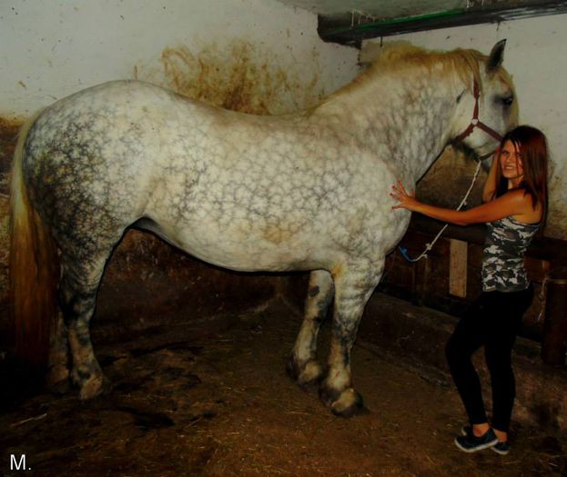 10525980_803788006332287_3144601626889979161_n