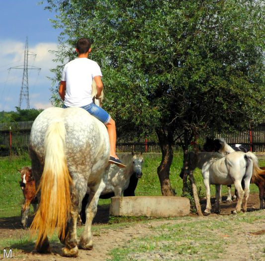 10532385_803788889665532_2626788789624845834_n