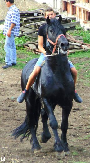 10534453_803791682998586_3789471465499137420_n