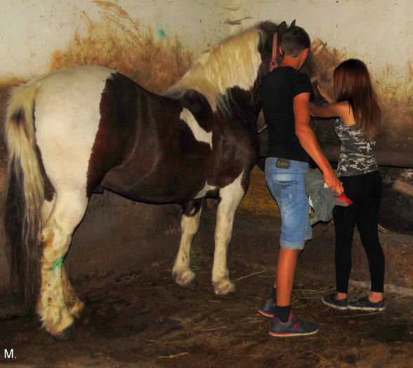 10544373_803787099665711_1398130011579347141_n