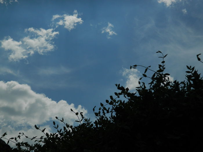 DSCN8028