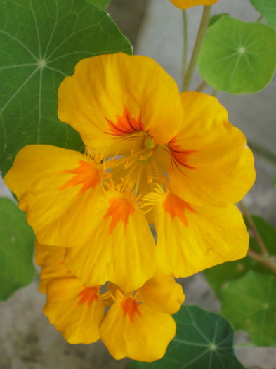 PB080025