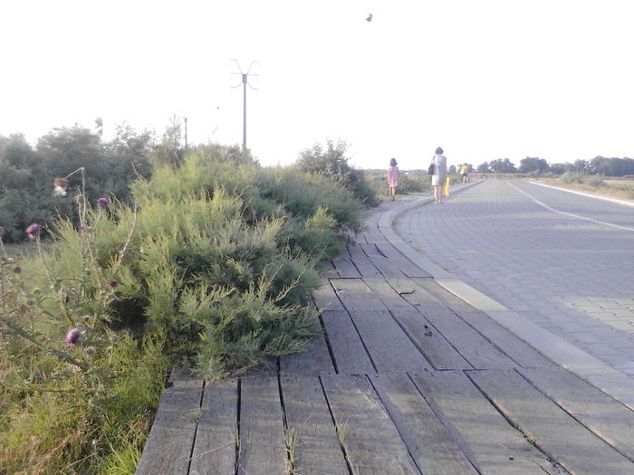 IMG_20140715_062855 - SULINA 2014