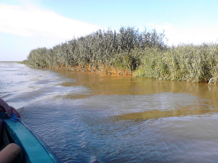 IMG_20140715_184024 - SULINA 2014