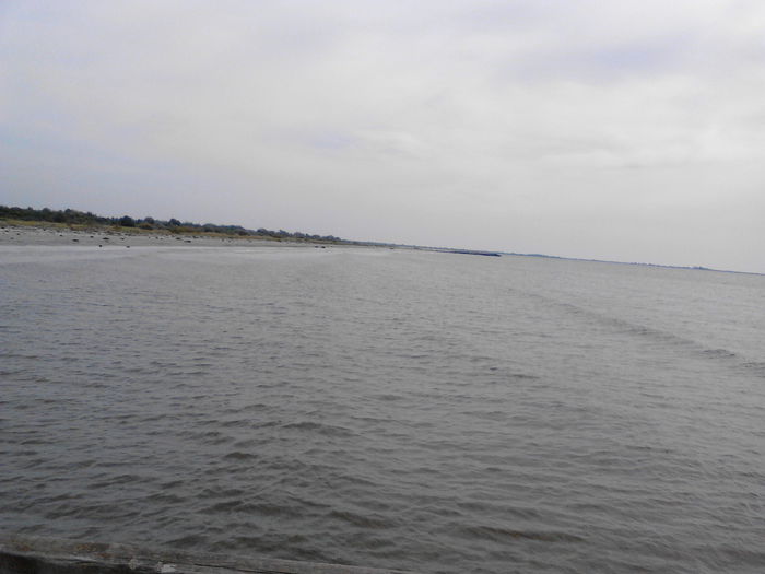 IMG_20140716_091555 - SULINA 2014