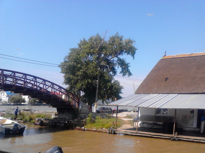 IMG_20140717_102501 - SULINA 2014