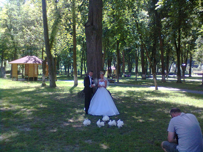 Fotografie0237 - LANSARI PORUMBEI ALBI NUNTI 2014