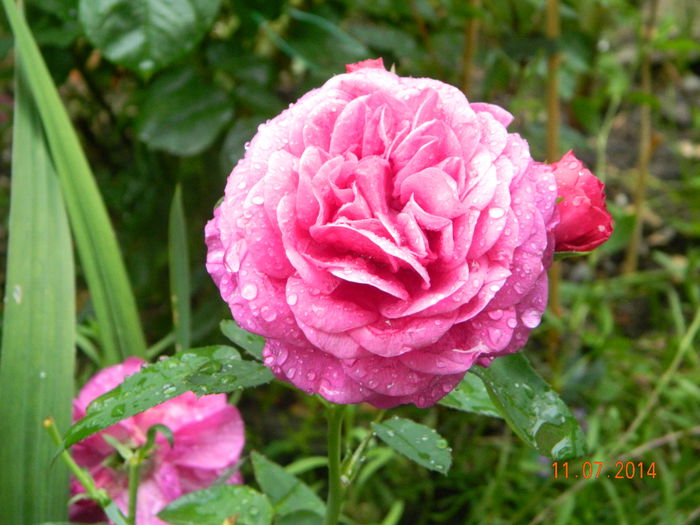 DSCN8563