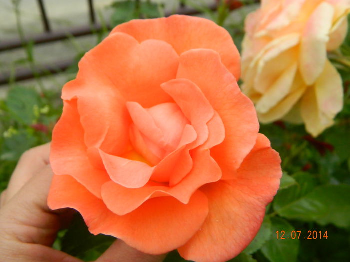 DSCN8577