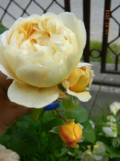 DSCN8579