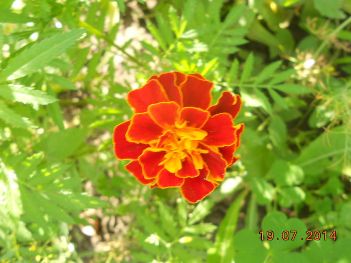 DSCN5813 - Oituz 2014